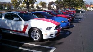 at a small Mustang Gathering by Money Pit in San Marcos